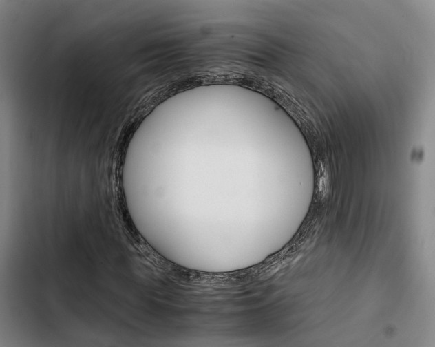 X0000103330819200809051020