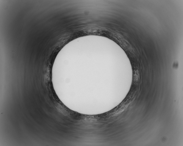 X0000103330820200809051020