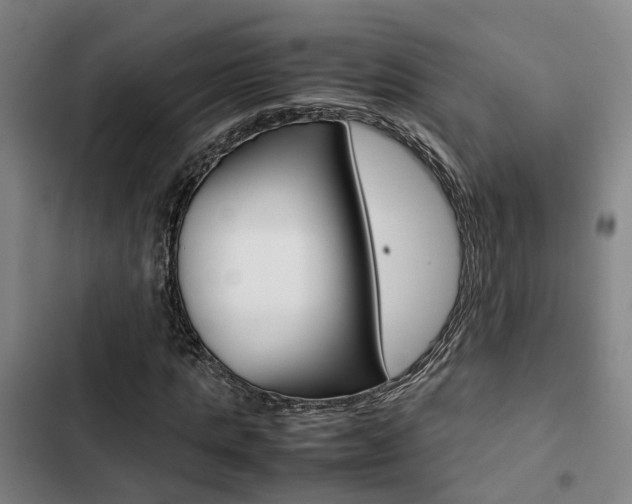 X0000103330821200809051020