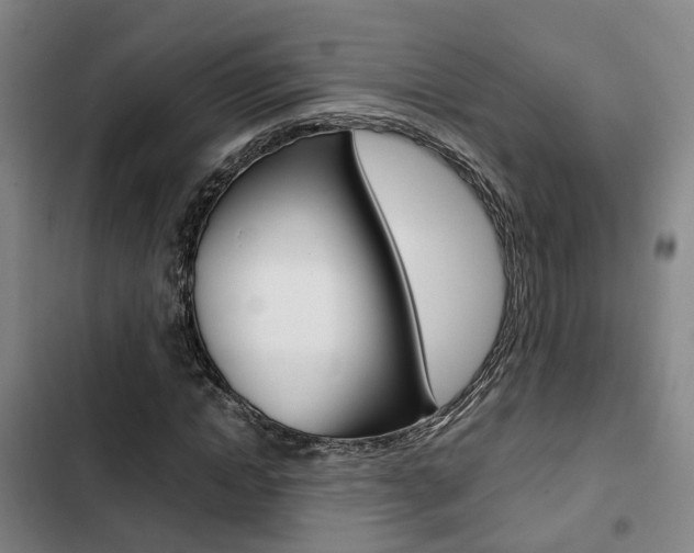 X0000103330822200809051020