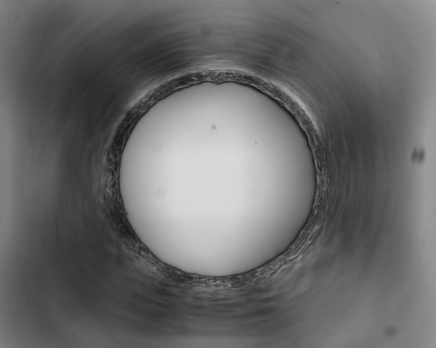 X0000103330823200809051020