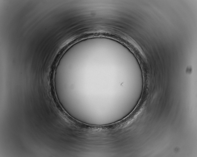 X0000103330826200809051020