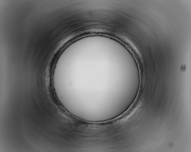 X0000103330829200809051020