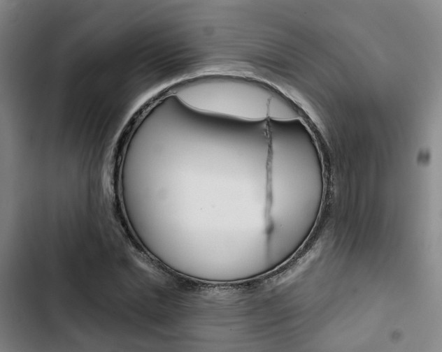 X0000103330830200809051020