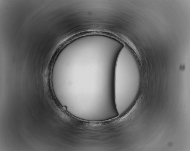 X0000103330831200809051020