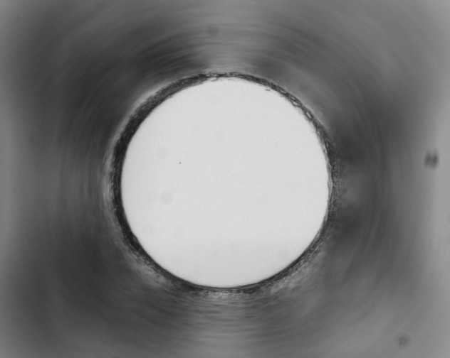 X0000103330832200809051020