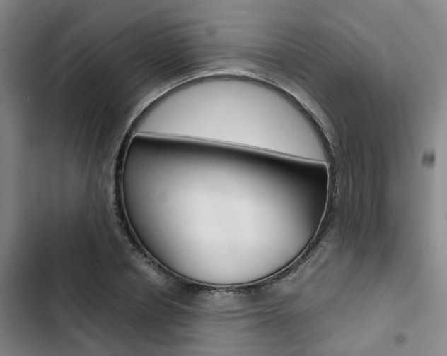 X0000103330834200809051020