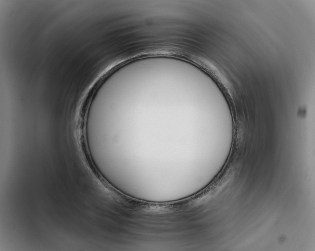 X0000103330835200809051020