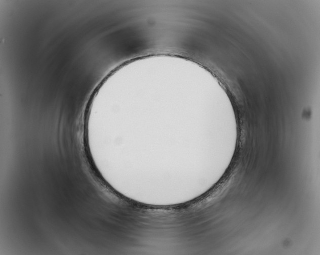 X0000103330836200809051020