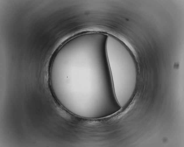 X0000103330837200809051020