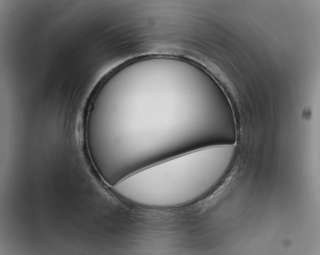 X0000103330838200809051020