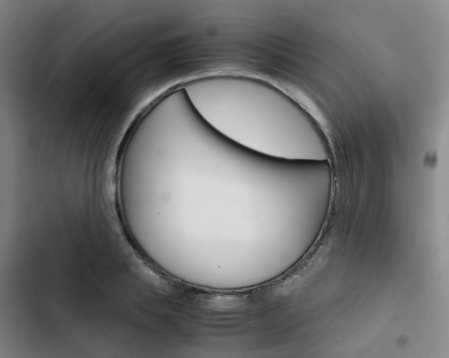 X0000103330839200809051020