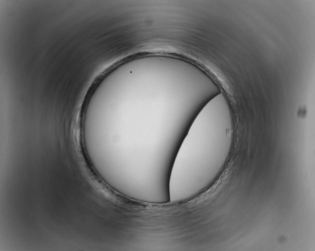 X0000103330840200809051020