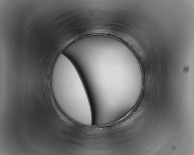 X0000103330841200809051020