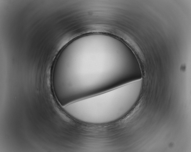 X0000103330842200809051020