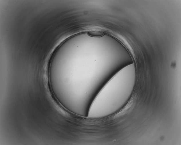 X0000103330843200809051020