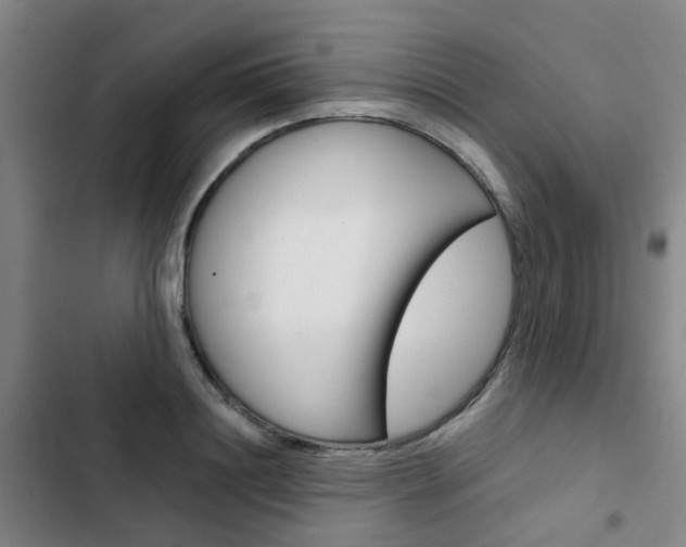 X0000103330844200809051020
