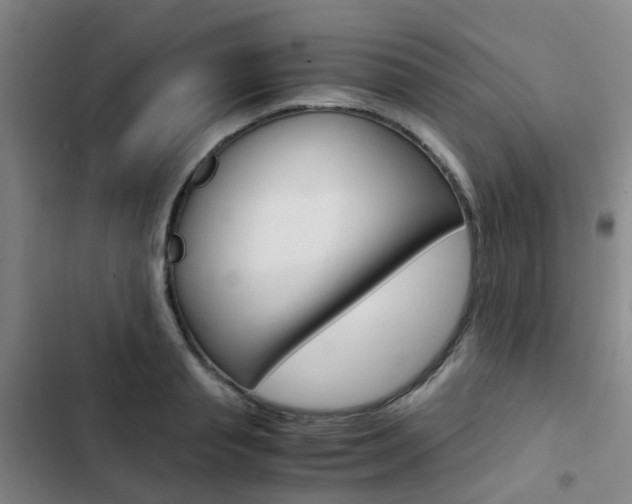 X0000103330845200809051020