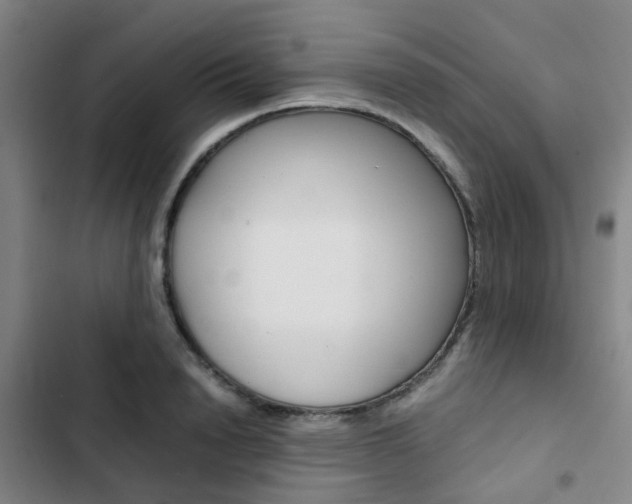 X0000103330846200809051020