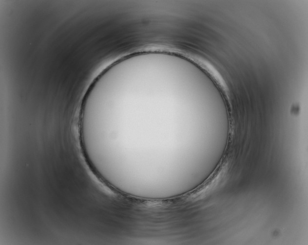 X0000103330847200809051020