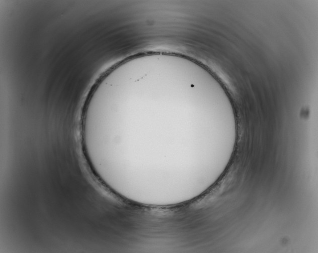 X0000103330848200809051020