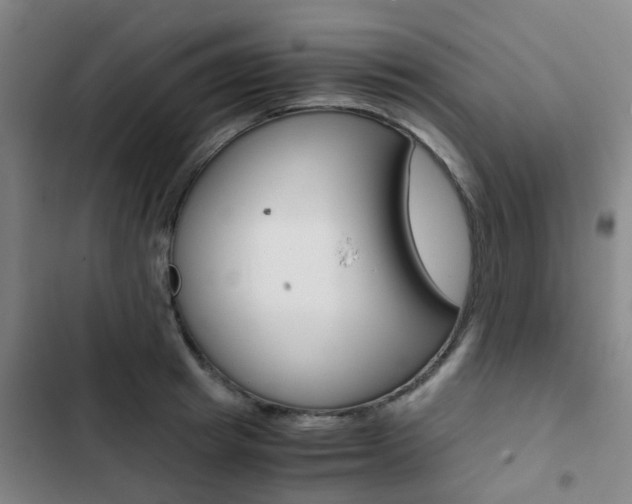X0000103330849200809051020