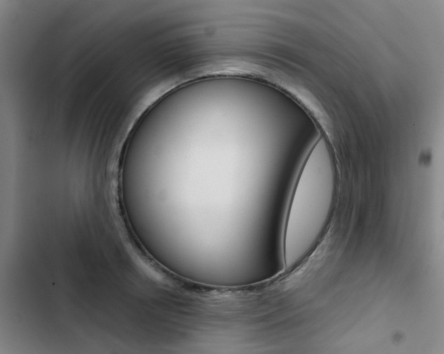 X0000103330850200809051021