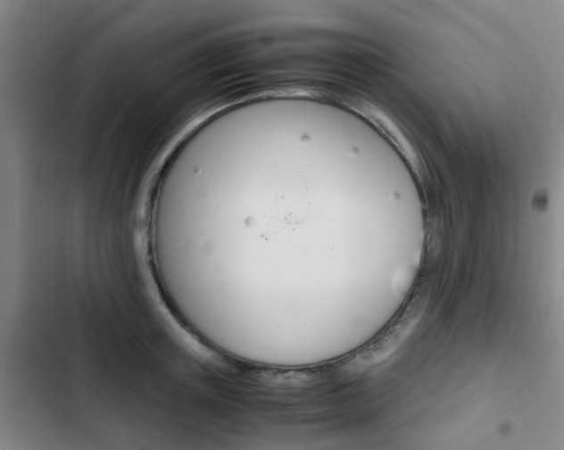 X0000103330851200809051021