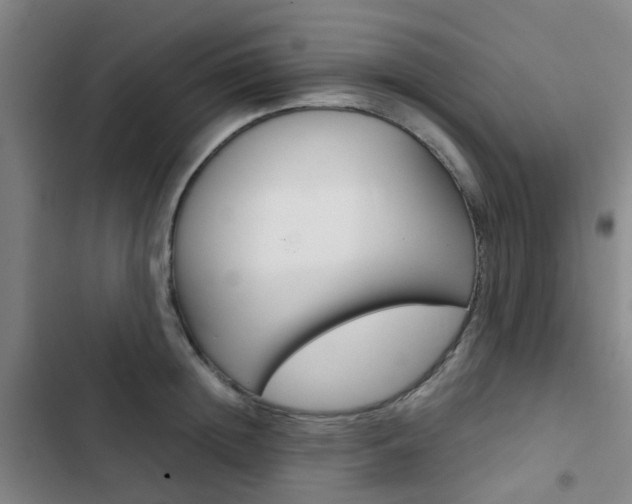 X0000103330852200809051021