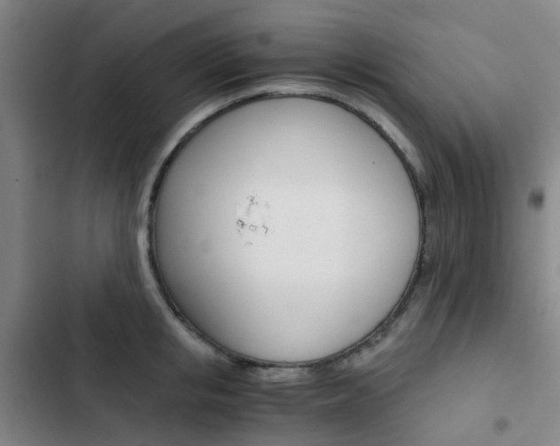 X0000103330853200809051021
