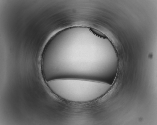 X0000103330854200809051021