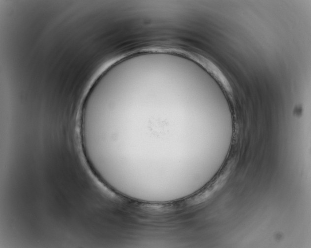 X0000103330855200809051021