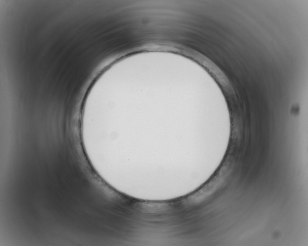 X0000103330856200809051021