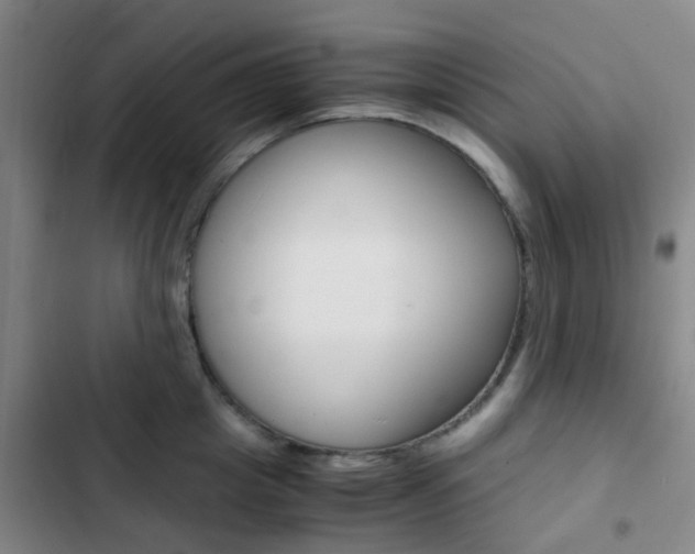 X0000103330857200809051021