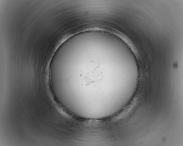X0000103330858200809051021