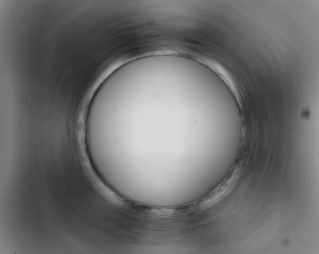 X0000103330859200809051021