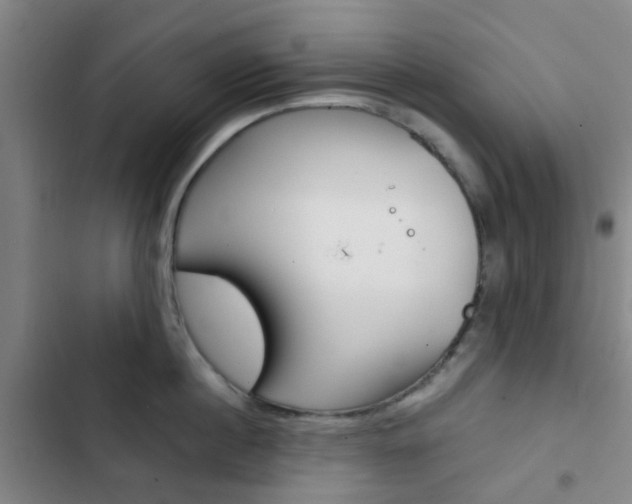 X0000103330860200809051021