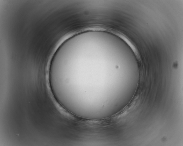 X0000103330861200809051021