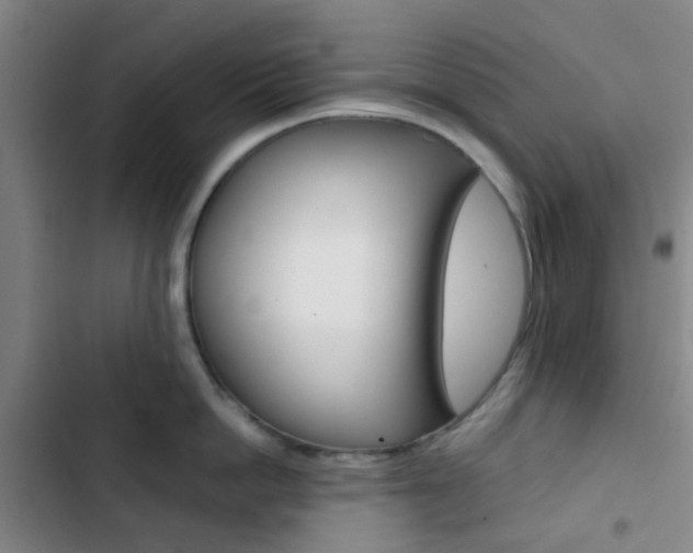 X0000103330862200809051021