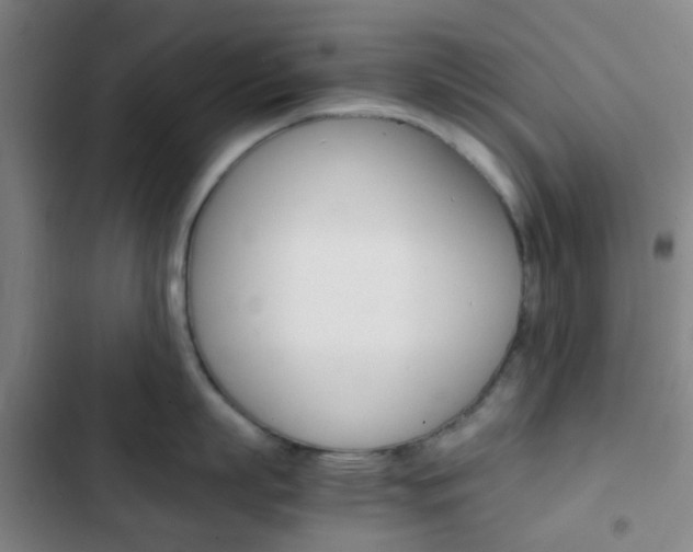 X0000103330863200809051021