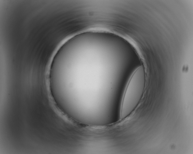 X0000103330864200809051021
