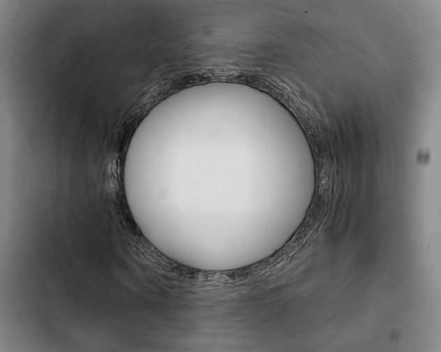 X0000103330866200809051020