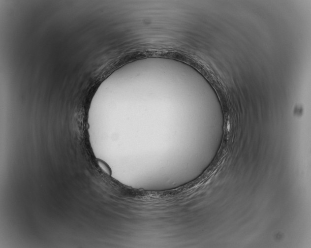 X0000103330867200809051020