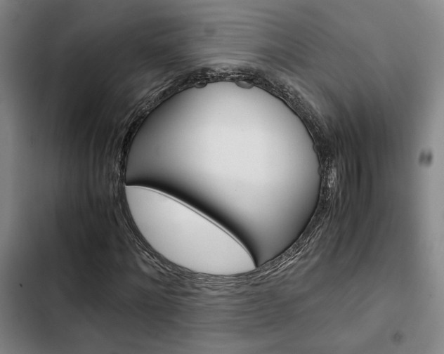 X0000103330868200809051020