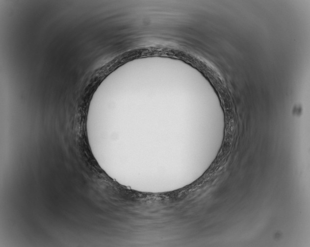 X0000103330869200809051020