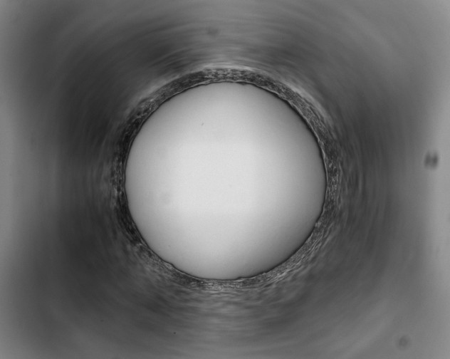 X0000103330870200809051020