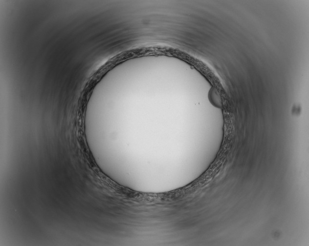 X0000103330871200809051020