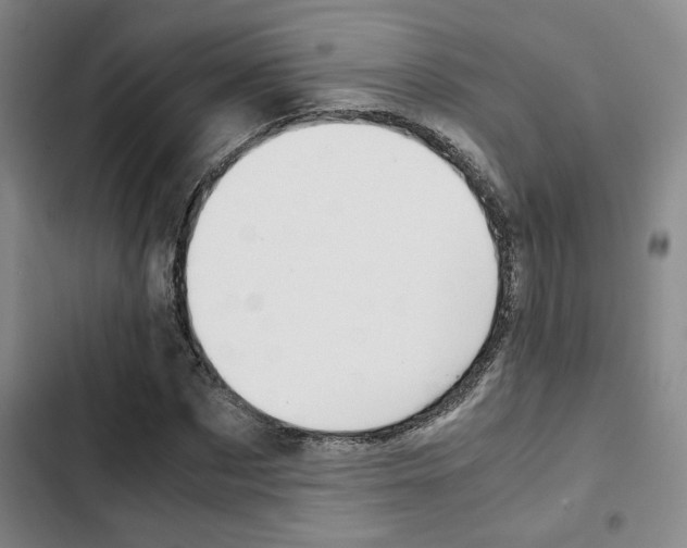 X0000103330873200809051020