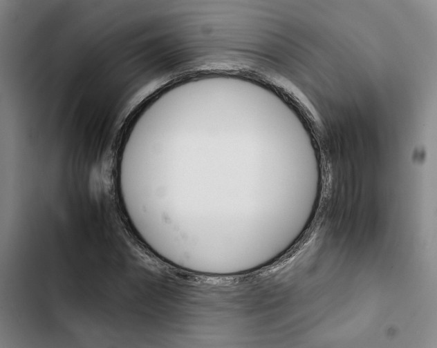 X0000103330874200809051020