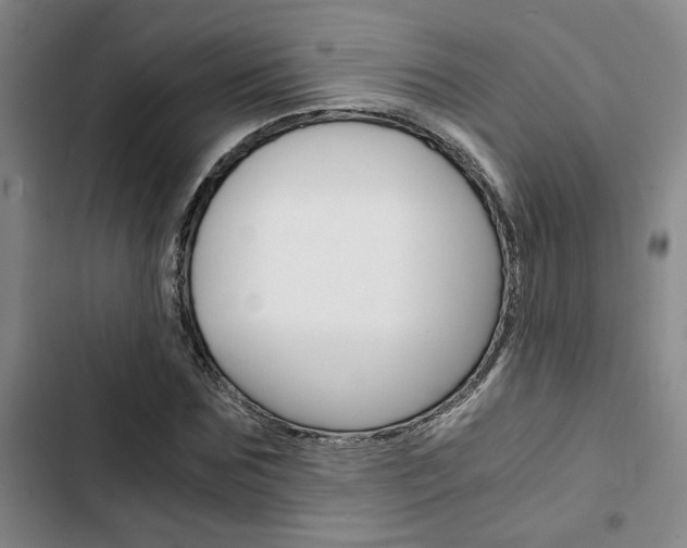 X0000103330875200809051020